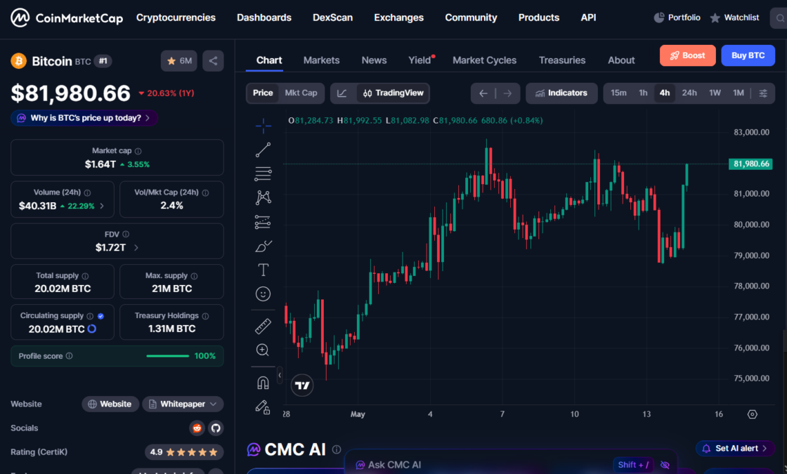 bitcoin rallies