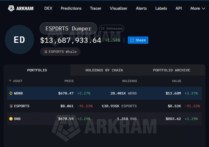 Esports Dumper Portfolio