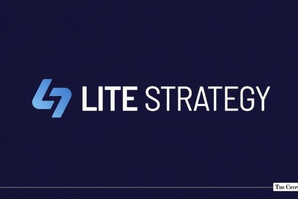 Lite Strategy Funds Buybacks With Covered Call Income and LTC in Q3