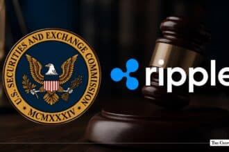 Ripple Pushes SEC Crypto Task Force for 0% Stablecoin Haircut