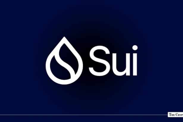 SUI Drops Sharply After Sui Network Reports Mainnet Stall