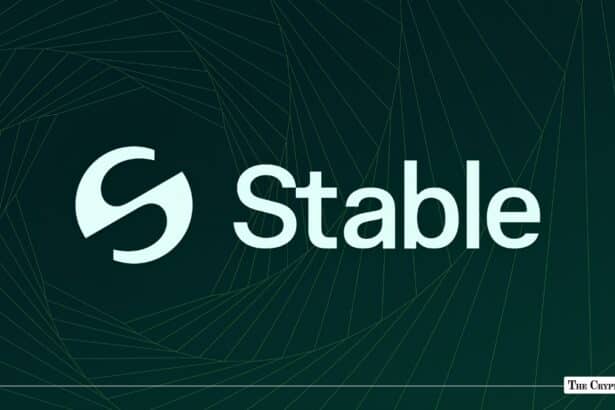 Stable Launches USDT Yield Vault With Morpho, Gauntlet and Theo