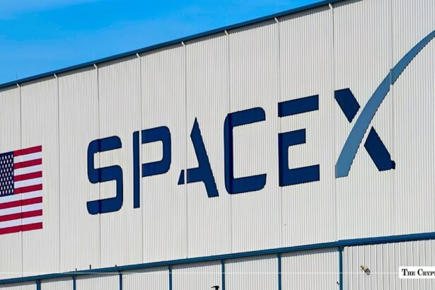 Ventuals Pledges Compensation After SPACEX Oracle Triggers $1.5M Crash