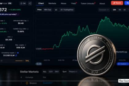 Why Is Stellar (XLM) Up Today While the Crypto Market Crashes 