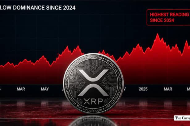 XRP Whale Outflow Dominance Hits Highest Reading Since 2024