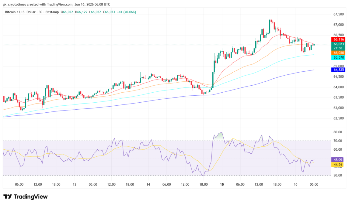BItcoin Price Chart - TradingView