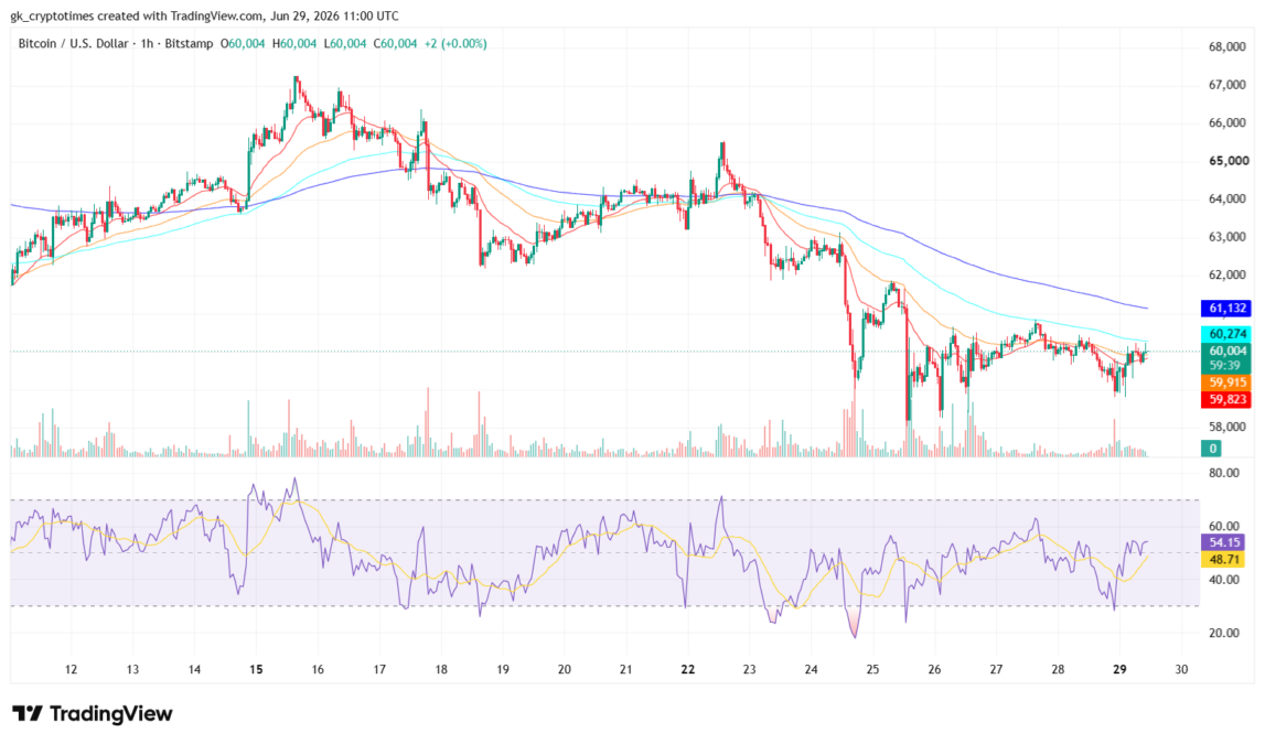 BTC Price Chart  - TradingView