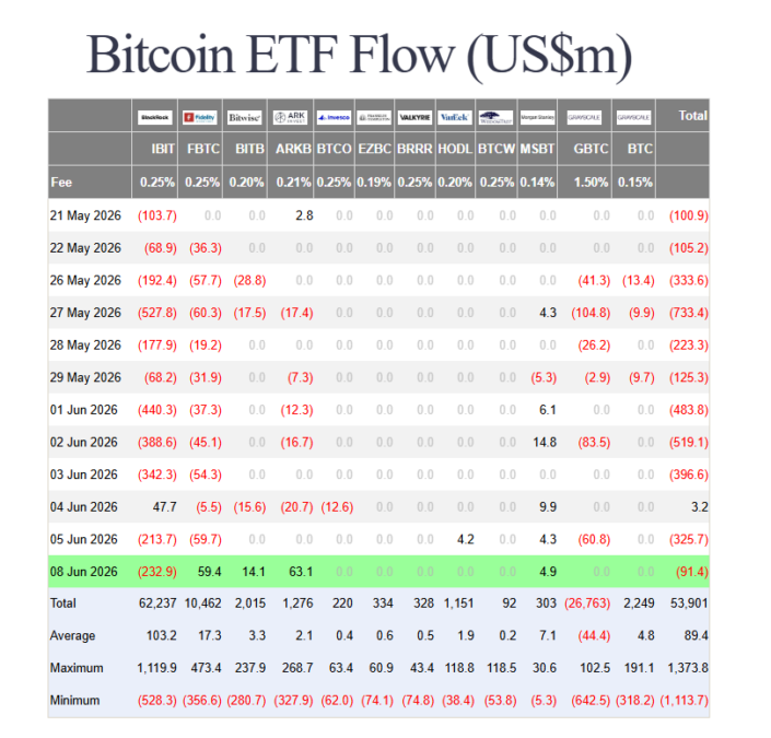 Bitcoin ETF Outflow Pressure