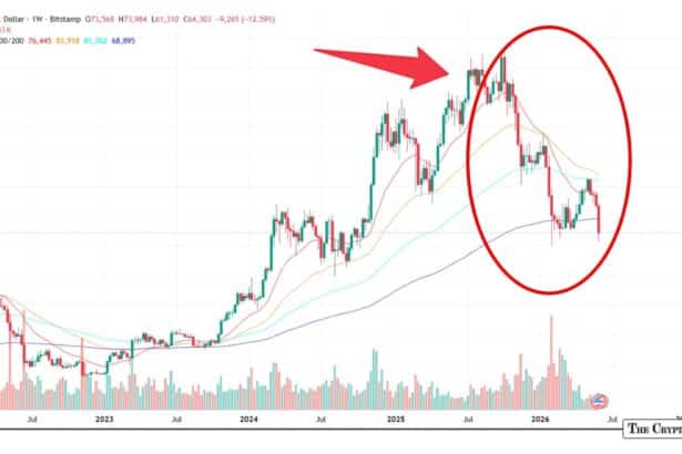 Bitcoin Price Tumbles 50% from All-Time High – Is This the Bottom or Further Pain Ahead?