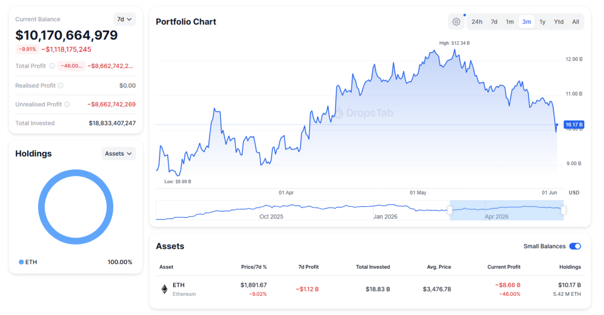 Bitmine Ethereum Treasury
