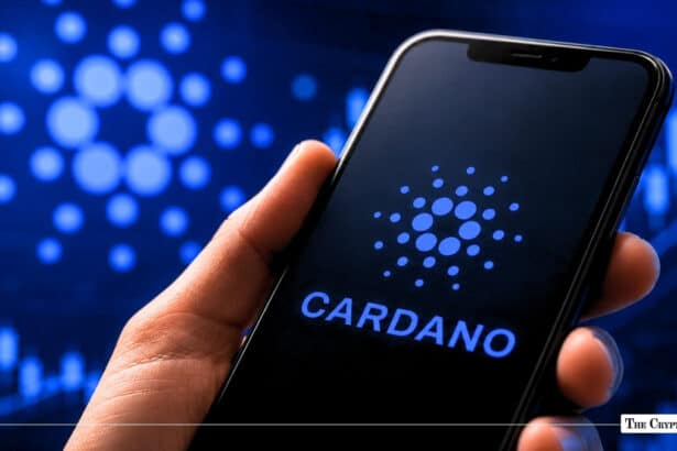 Cardano Analytics Giant TapTools Begins Final Shutdown Countdown