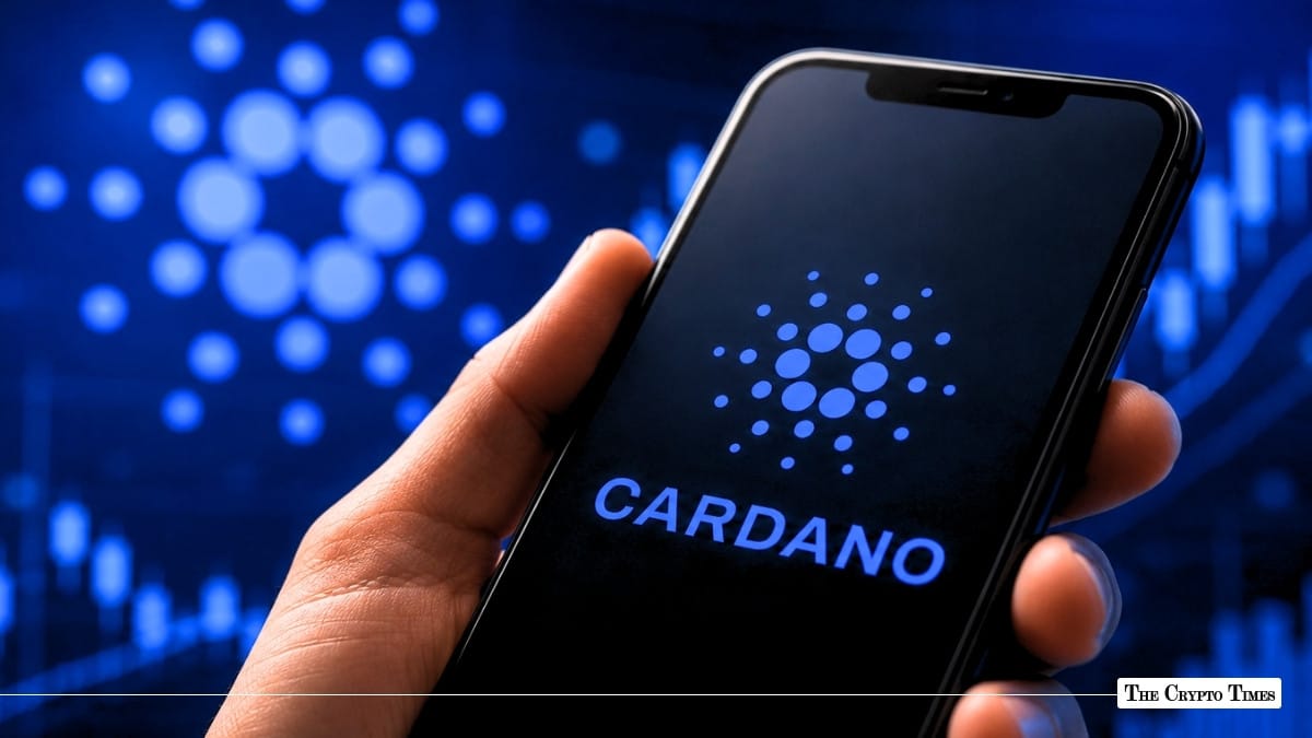 Cardano Analytics Giant TapTools Begins Final Shutdown Countdown