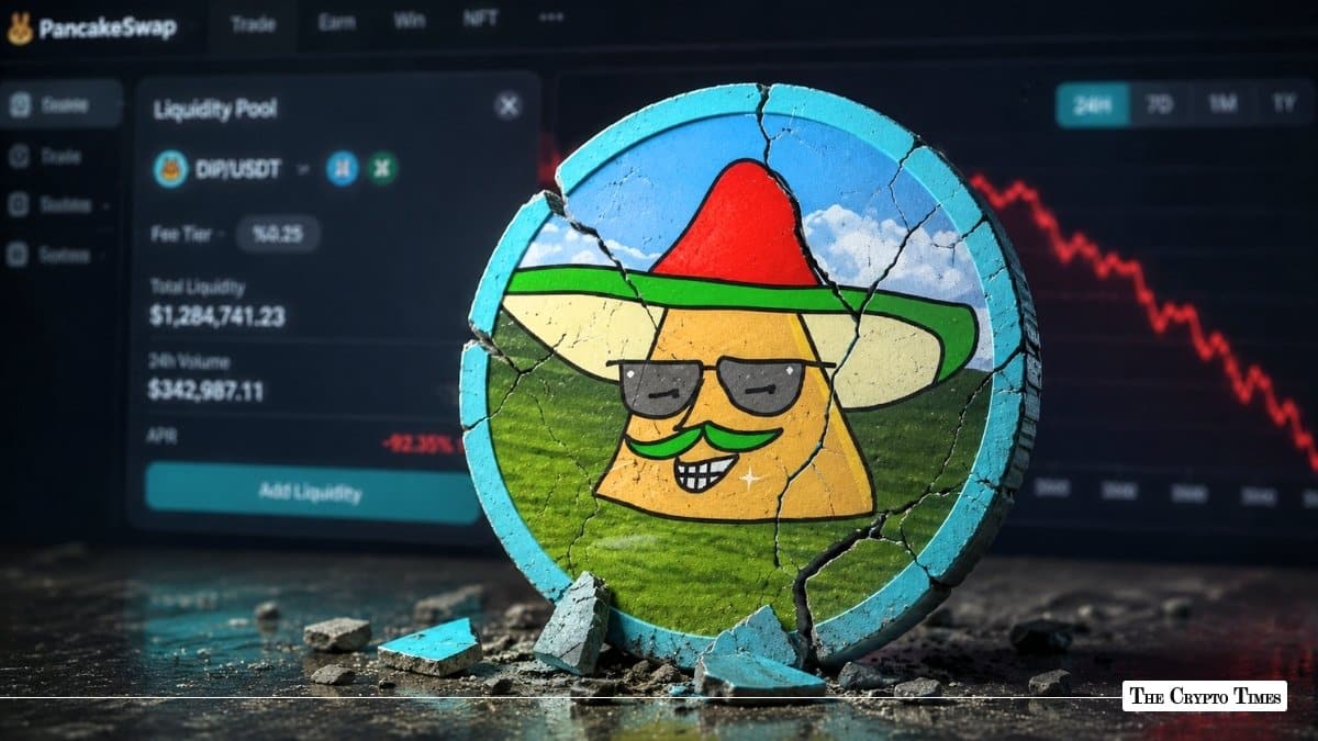 DIP Token Bug Drains $111K From PancakeSwap Pool