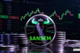 Inside the $ANSEM Memecoin Surge Community Spirit or Concentrated Control