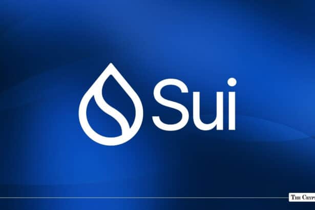 Sui Targets Institutions With Confidential Transfers on Devnet