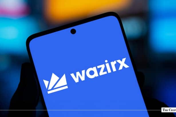 WazirX Launches Crypto Withdrawal API, but for Whom