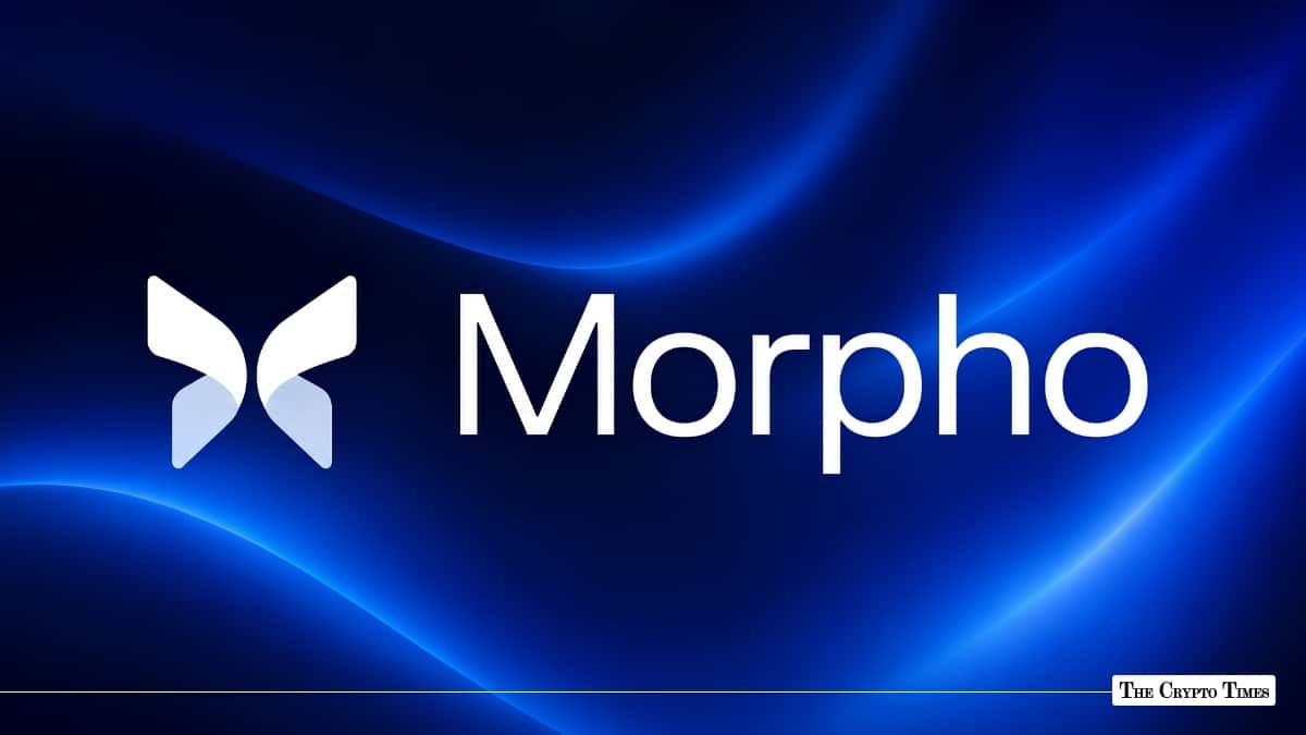 Why Paradigm and a16z Just Poured $175M Into Morpho