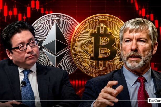 Why Wall Street is Divided Michael Saylor’s Scarcity vs. Tom Lee’s Staking Empire