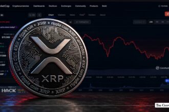 XRP Price Drops to $1.17, Down Almost 10% in a Week