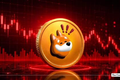 BONK Price Crashes 31%, Market Cap Drops Below $250 Million