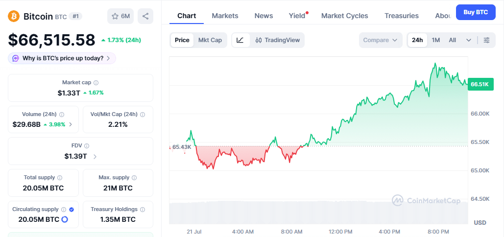 BTC Price Performance