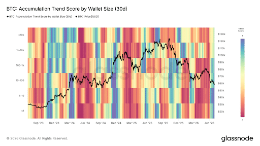 Bitcoin Accumulation Trend Score