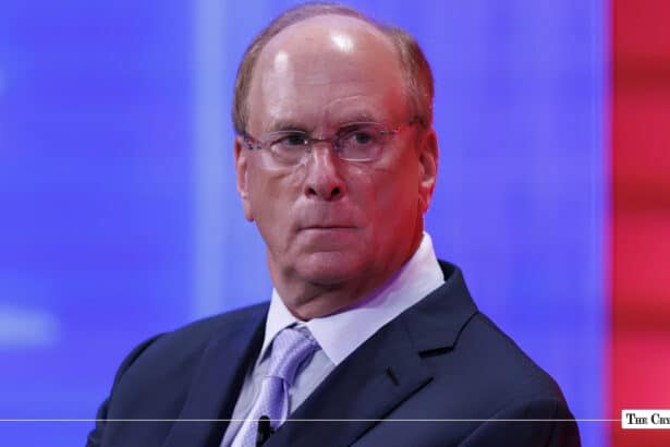 BlackRock CEO Predicts Strong Markets, Says Bitcoin Is More Stable