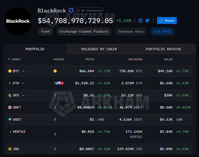 BlackRock Portfolio