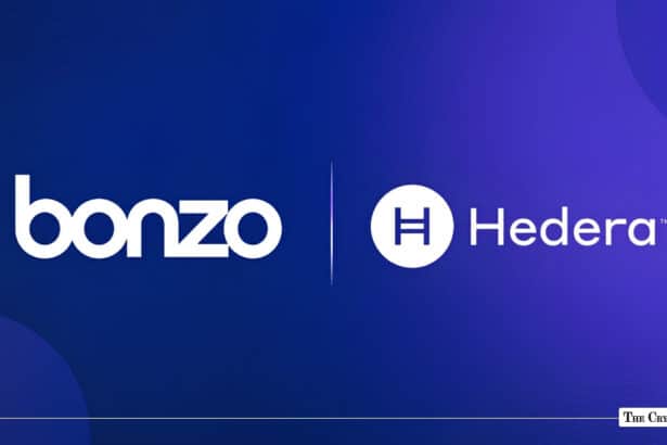 Bonzo to Restore Pre-Exploit Positions with Hedera Backing