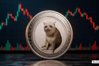 CASHCAT Drops 41% as Trader Banks $140K From Short Bet