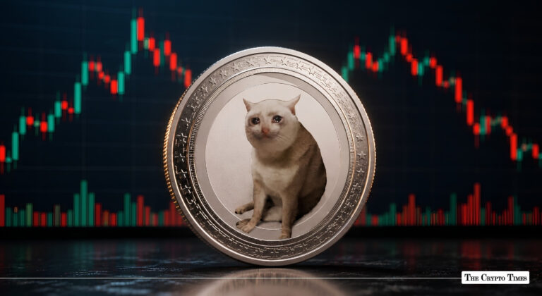 CASHCAT Drops 41% as Trader Banks $140K From Short Bet