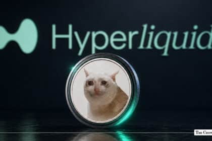 CASHCAT Perps Wick 60% on Hyperliquid While Spot Price Holds