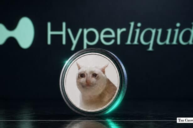 CASHCAT Perps Wick 60% on Hyperliquid While Spot Price Holds
