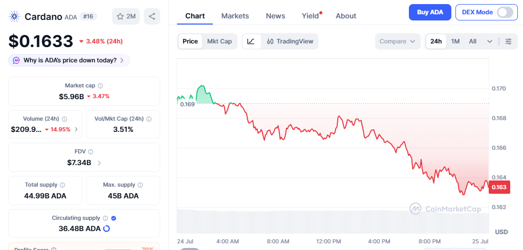 Cardano Price Momentum