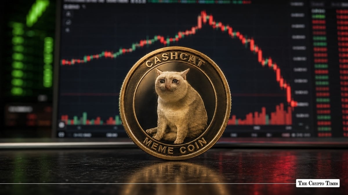Cashcat Plummets Nearly 75% From Peak Has Robinhood Chain’s Meme Season Ended