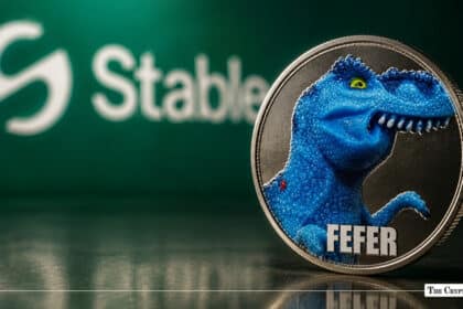 FEFER Meme Coin Frenzy Fuels Record Activity on USDT-Powered StableChain