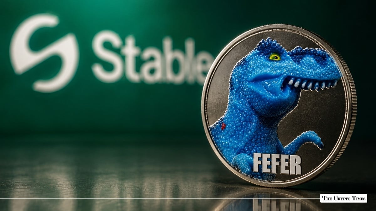 FEFER Meme Coin Frenzy Fuels Record Activity on USDT-Powered StableChain