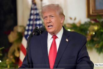 Inside the Trump Familys $1.2B Crypto Windfall Who Paid the Price