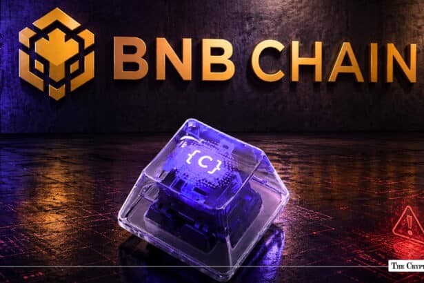 On-Chain Investigator Flags BNB Chain's CodexField as a Potential $85M Rug Pull