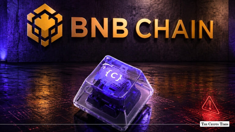 On-Chain Investigator Flags BNB Chain's CodexField as a Potential $85M Rug Pull