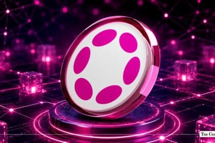 Polkadot Opens Public Devnet Ahead of Production Network