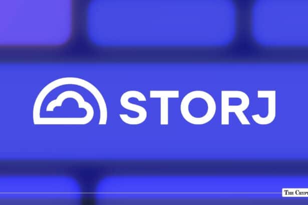 Storj Files for Chapter 11, Pre-Filing Node Operator Payments in Limbo