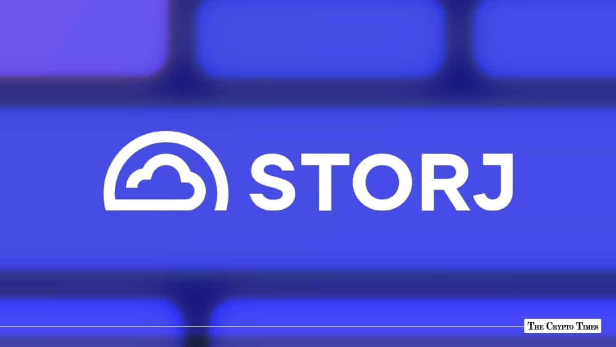 Storj Files for Chapter 11, Pre-Filing Node Operator Payments in Limbo