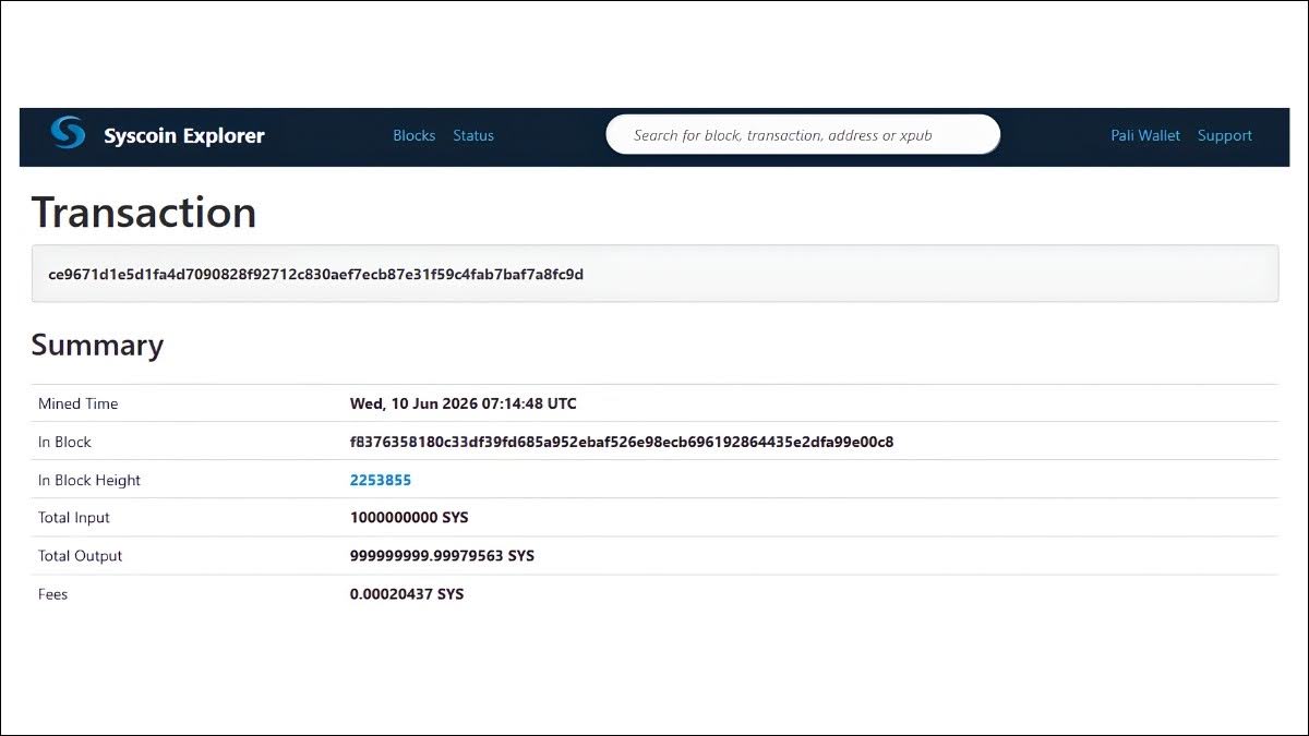 Syscoin transaction details on blockchain explorer