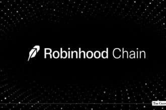 The Robinhood Chain Paradox Built for Tokenized Stocks, Dominated by Memecoins