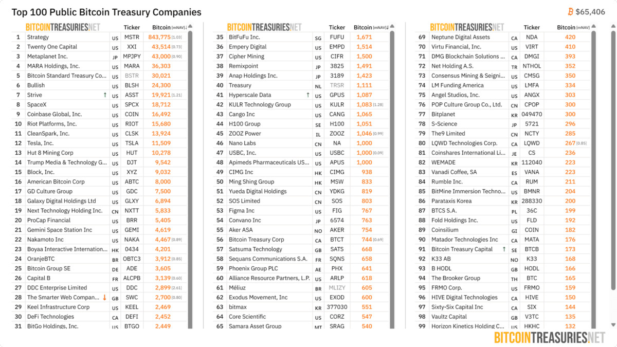 Top 100 Public Bitcoin Treasury Companies