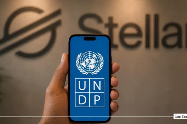 UNDP and Stellar Scale Blockchain Payments for Global Aid