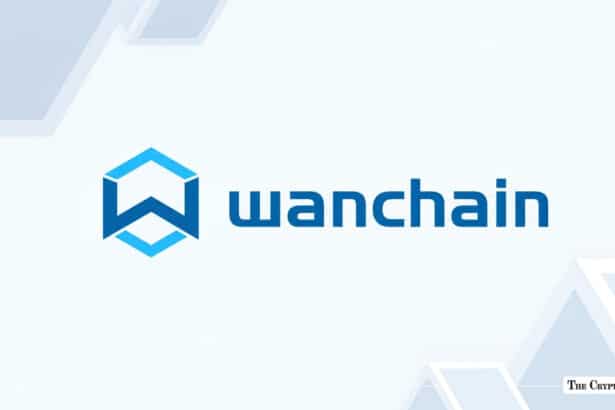 Wanchain Sets August 6 Deadline for Cardano Bridge Hacker