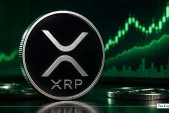 Why is XRP Price Up Today? 
