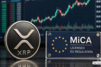 Will XRP Price Recover After Ripple’s MiCA License On-Chain Data Signals Hope